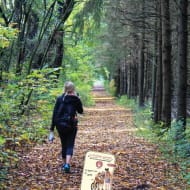 Fun on foot N°6: The spell of the Via Fluvia and the banks of the Rhône