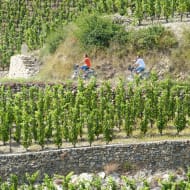 Bicycle tour - Tour of the Drôme des Collines region