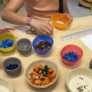 Visite-atelier 7-12 ans - Les mystères du collier