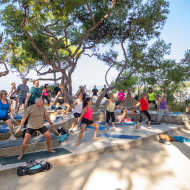 Circuit training