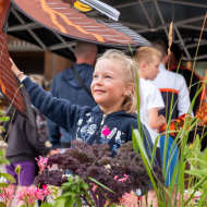 Morzine Kingdom of Marmots