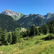 Guided Hike - Admission to the L'Oreille du Lynx Concert