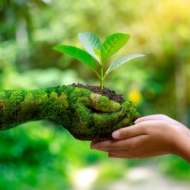 Morzine en pleine nature