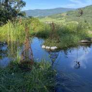 Les visites au jardin : visites, cueillettes, ardoises gourmandes
