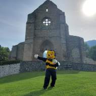 Honey and bee festival