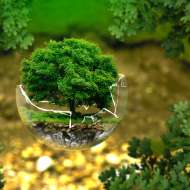Atelier : Biodiversité en danger, du constat à l’action