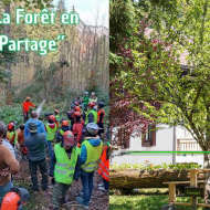 La forêt en partage