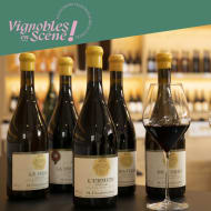 Visit of our wineyards and wine tasting - Maison M. CHAPOUTIER