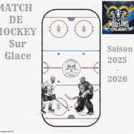 Ice hockey match