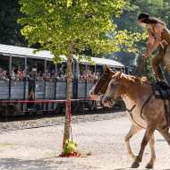 Train Western - Train de l'Ardèche