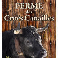 Farm visit, Vaches Hérens - GAEC des Croës Canailles