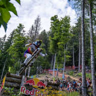 Downhill (DHI)