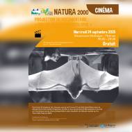 Projection du film "Une vie de Grand Rhinolophe"