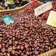 Autumn celebrations in chestnut country: Castagnades 2025
