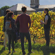 Vignobles en Scène : Animations au Domaine de l'Idylle