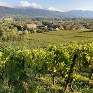 Dégustation vins et fromages au Château de Mérande
