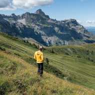 Quand les hommes et les animaux s’harmonisent en montagne