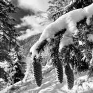 Nature discovery walk and creation of a special skier roll-on