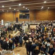 Salon des vins & saveurs des terroirs