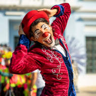 Verona Circus