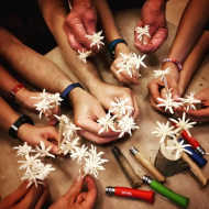 ‘Cut your edelweiss’  - Vox Alpina