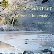 WINTER WONDER - Merveille hivernale