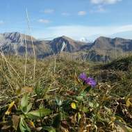Biodiversity Discovery Tour