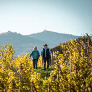 Rando Wine at Domaine Anthony Paret