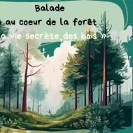 Balade "au coeur de la forêt : la vie secrète des bois"