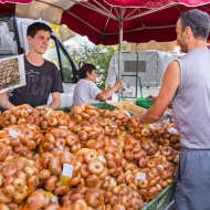 Onion Fair
