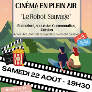 Ciné plein air