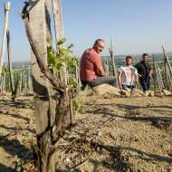 Domaine Christophe Pichon