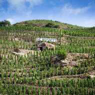 Vignobles De Boisseyt