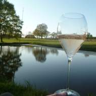 Domaine Grosbot-Barbara