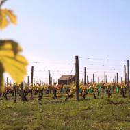 Domaine Jallet