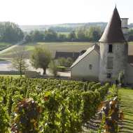Conservatoire des Anciens Cépages de Saint-Pourçain