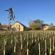 Clos de Breuilly