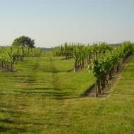 Domaine Jean Wambergue