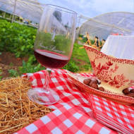 Syndicat des Viticulteurs de Saint-Pourçain