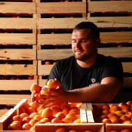 Maison de l'abricot - Gobert, le fruit de 4 générations