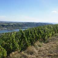 Domaine Clusel-Roch