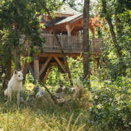 Les Cabanes Perchées du Safari de Peaugres