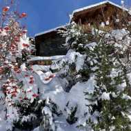 Chalet du Praz - La petite Ourse