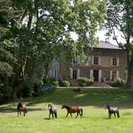 Domaine La bonne Etoile