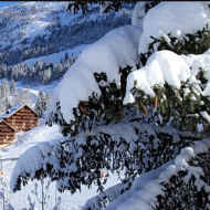 Appartement Pic Blanc B4 - Chalet des Neiges
