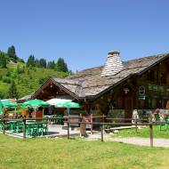 Abricotine Refuge
