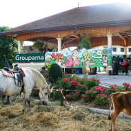 Comité de Foire "Leu d'la Fera"