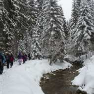 Rando Alpes