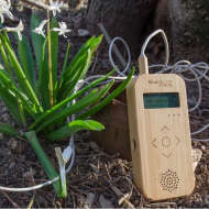 La musique des plantes