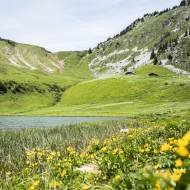Bureau Montagne de la Vallée d'Abondance